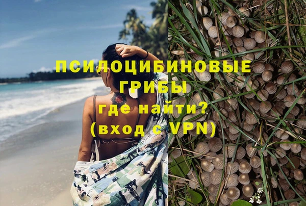 каннабис Зеленокумск