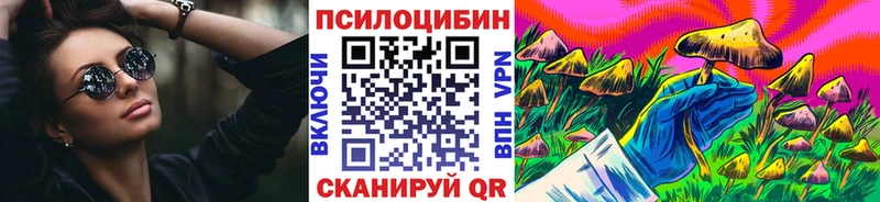 Псилоцибиновые грибы Psilocybe  Купить где  Ликино-Дулёво 