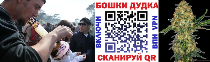 Купить где  Ликино-Дулёво  Бошки Шишки ГИДРОПОН 